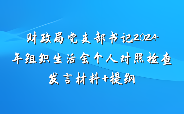 财政局党支部书记2024年组织生活会个人对照检查发言材料 提纲