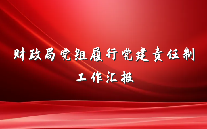 财政局党组履行党建责任制工作汇报