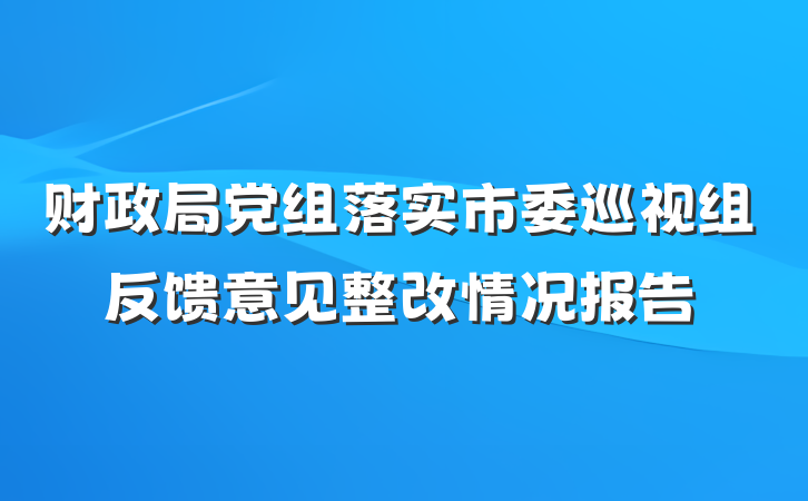 财政局党组落实市委巡视组反馈意见整改情况报告