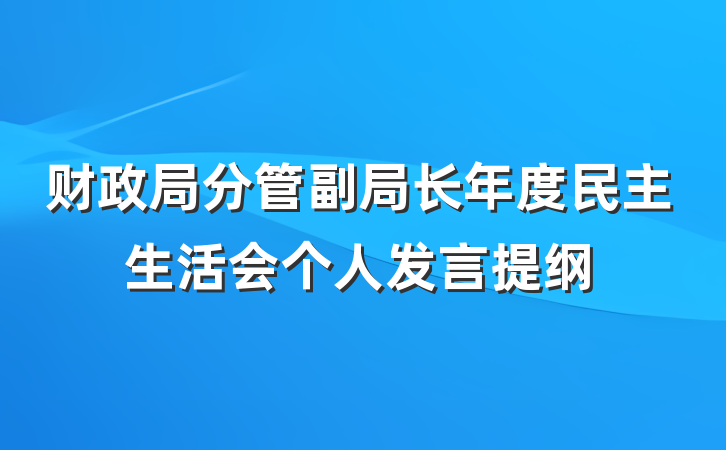 财政局分管副局长年度民主生活会个人发言提纲