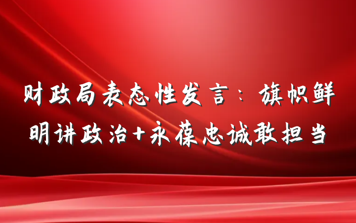 财政局表态性发言：旗帜鲜明讲政治 永葆忠诚敢担当
