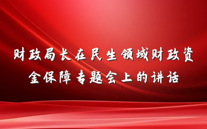 财政局长在民生领域财政资金保障专题会上的讲话