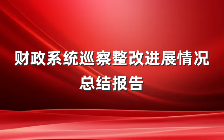 财政系统巡察整改进展情况总结报告