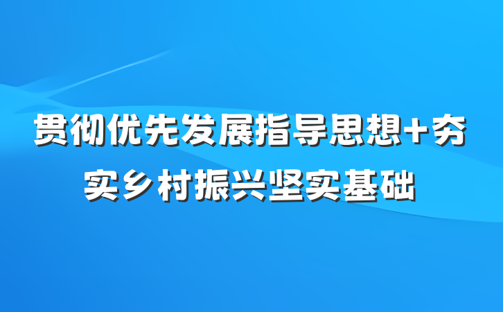 贯彻优先发展指导思想 夯实乡村振兴坚实基础