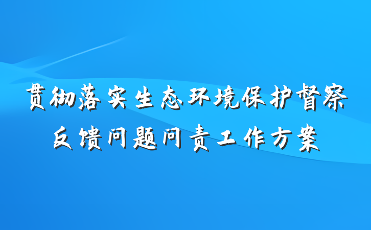 贯彻落实生态环境保护督察反馈问题问责工作方案