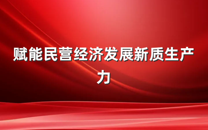 赋能民营经济发展新质生产力