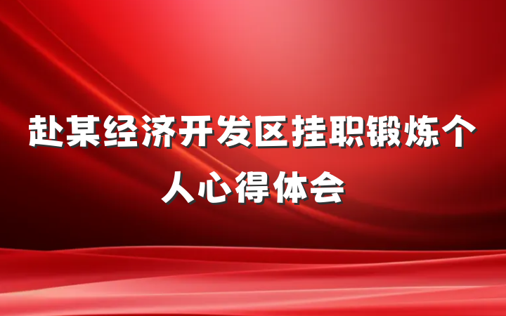 赴某经济开发区挂职锻炼个人心得体会