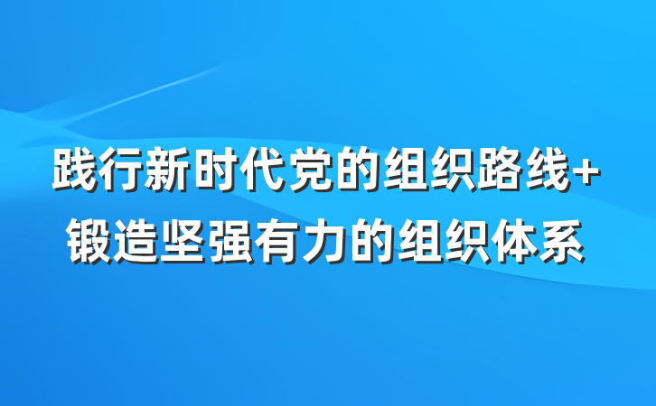 践行新时代党的组织路线 锻造坚强有力的组织体系