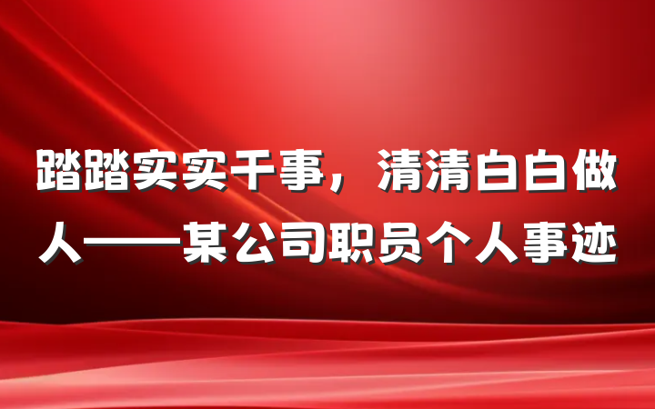 踏踏实实干事，清清白白做人——某公司职员个人事迹