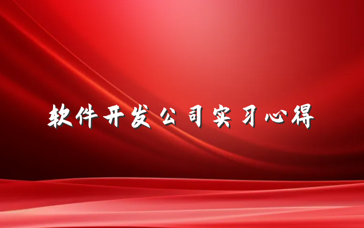 软件开发公司实习心得