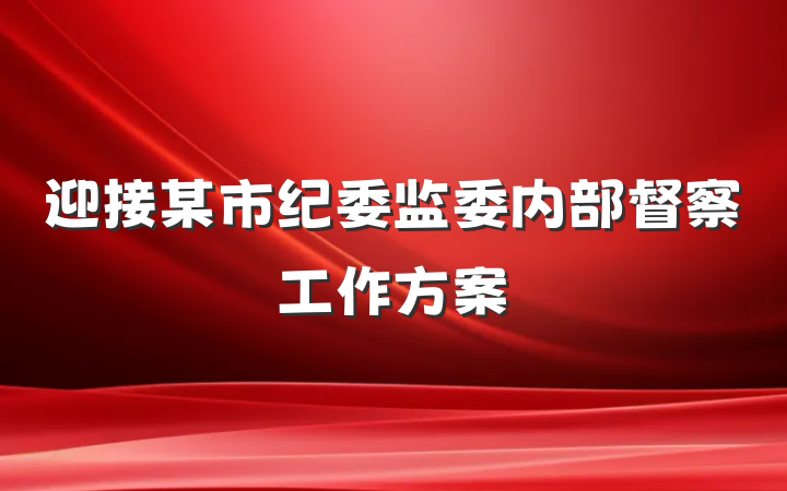 迎接某市纪委监委内部督察工作方案