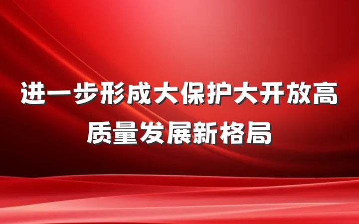 进一步形成大保护大开放高质量发展新格局