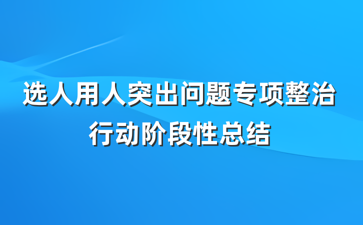 选人用人突出问题专项整治行动阶段性总结