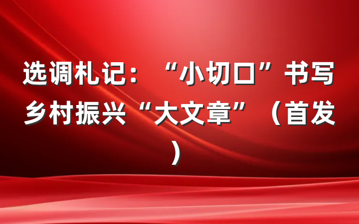 选调札记：“小切口”书写乡村振兴“大文章”（首发）