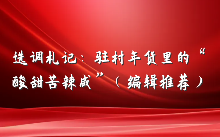 选调札记：驻村年货里的“酸甜苦辣咸”（编辑推荐）