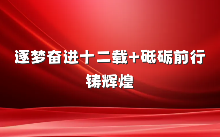 逐梦奋进十二载 砥砺前行铸辉煌