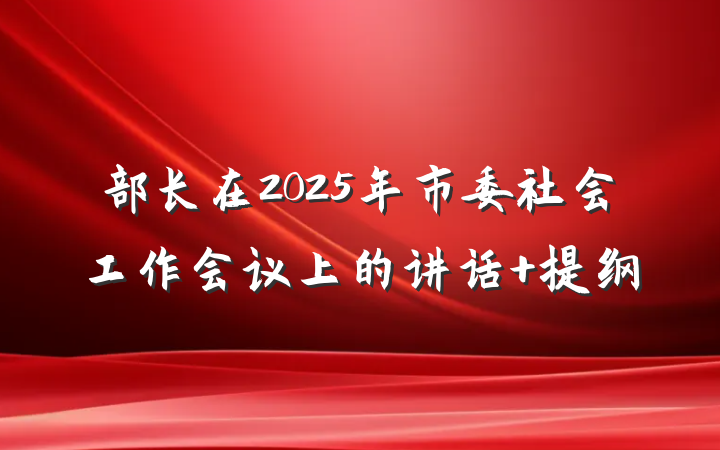 部长在2025年市委社会工作会议上的讲话 提纲