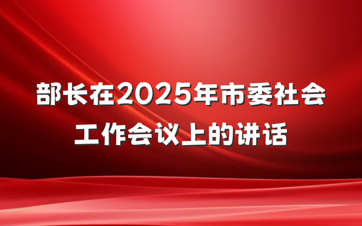 部长在2025年市委社会工作会议上的讲话