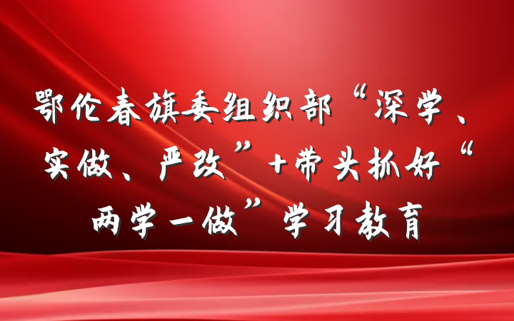 鄂伦春旗委组织部“深学、实做、严改” 带头抓好“两学一做”学习教育
