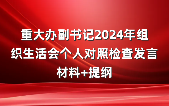 重大办副书记2024年组织生活会个人对照检查发言材料 提纲