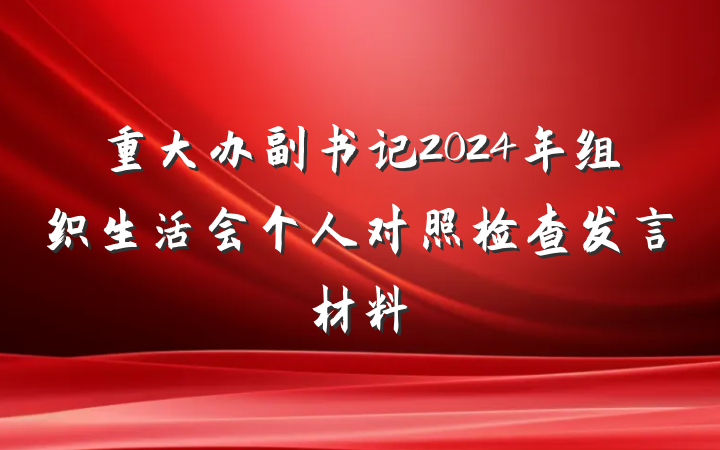 重大办副书记2024年组织生活会个人对照检查发言材料