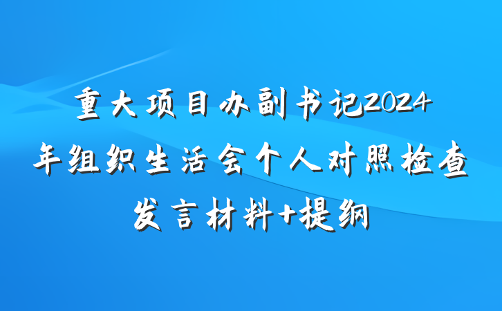 重大项目办副书记2024年组织生活会个人对照检查发言材料 提纲