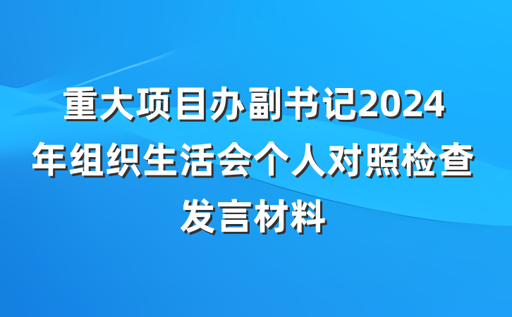 重大项目办副书记2024年组织生活会个人对照检查发言材料