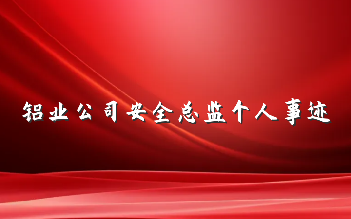 铝业公司安全总监个人事迹