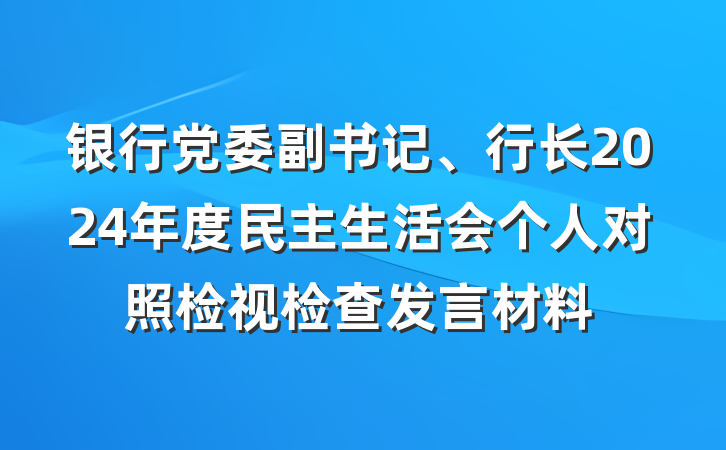 银行党委副书记、行长2024年度民主生活会个人对照检视检查发言材料