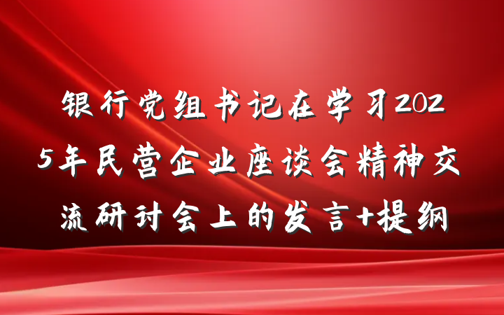银行党组书记在学习2025年民营企业座谈会精神交流研讨会上的发言 提纲