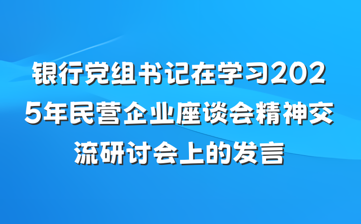 银行党组书记在学习2025年民营企业座谈会精神交流研讨会上的发言