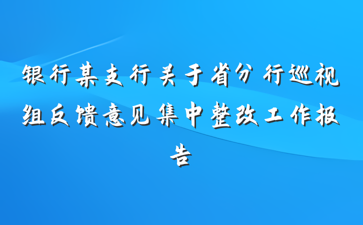 银行某支行关于省分行巡视组反馈意见集中整改工作报告