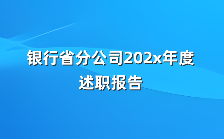 银行省分公司202x年度述职报告