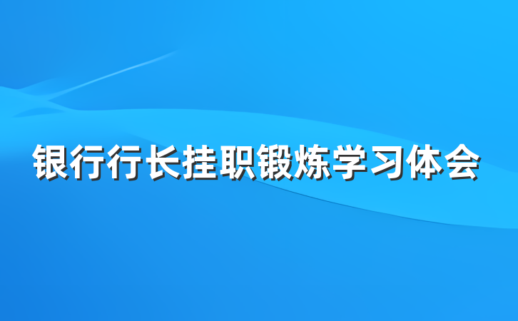 银行行长挂职锻炼学习体会