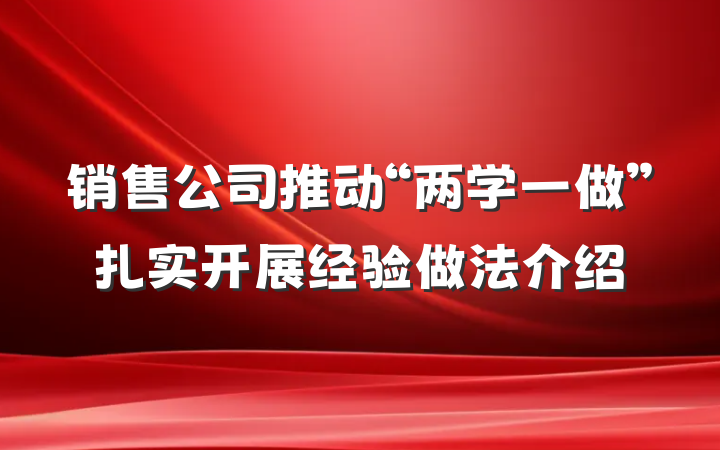 销售公司推动“两学一做”扎实开展经验做法介绍