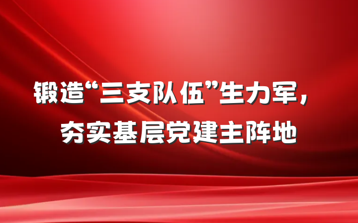 锻造“三支队伍”生力军，夯实基层党建主阵地