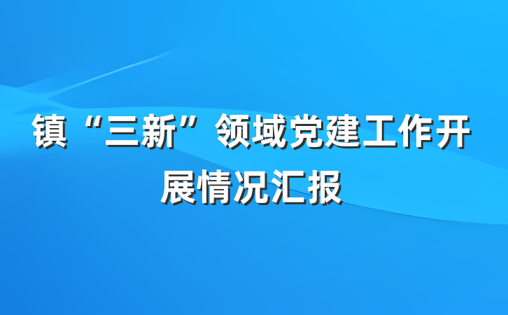镇“三新”领域党建工作开展情况汇报