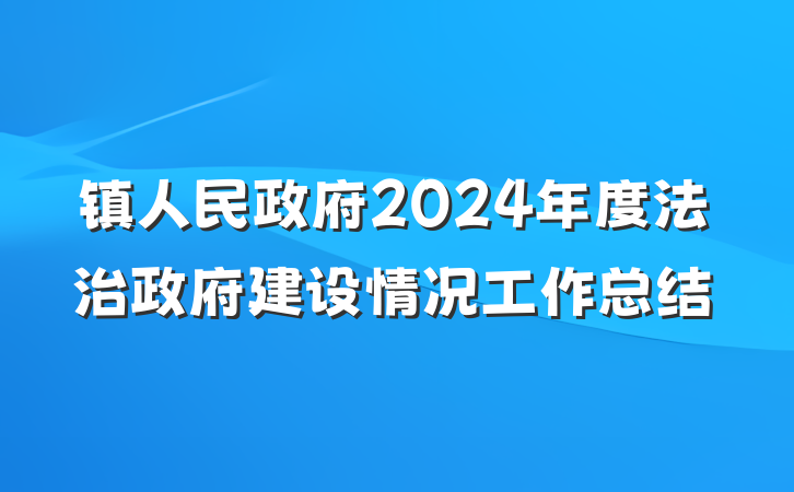 镇人民政府2024年度法治政府建设情况工作总结