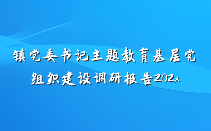 镇党委书记主题教育基层党组织建设调研报告202x