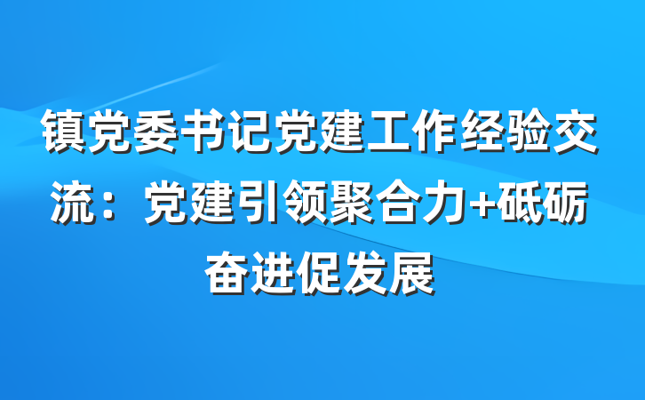 镇党委书记党建工作经验交流：党建引领聚合力 砥砺奋进促发展
