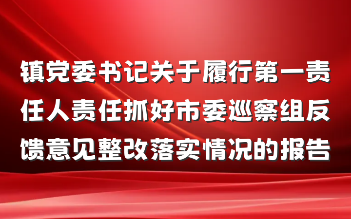镇党委书记关于履行第一责任人责任抓好市委巡察组反馈意见整改落实情况的报告