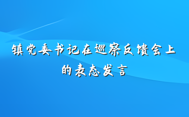 镇党委书记在巡察反馈会上的表态发言
