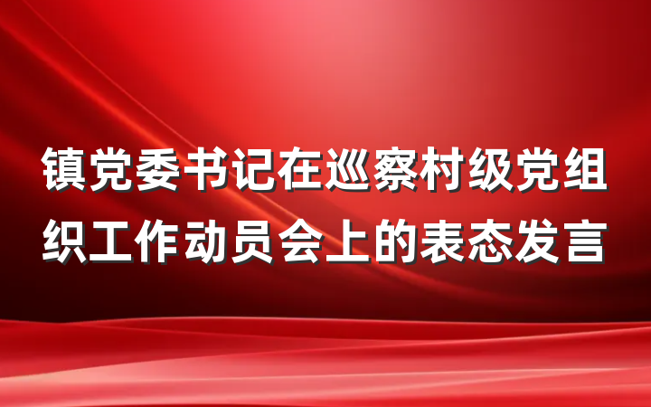 镇党委书记在巡察村级党组织工作动员会上的表态发言