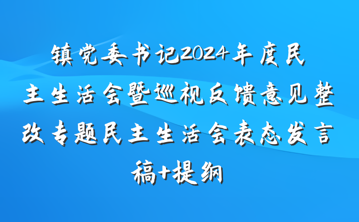 镇党委书记2024年度民主生活会暨巡视反馈意见整改专题民主生活会表态发言稿 提纲