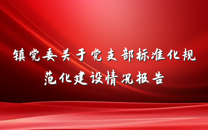 镇党委关于党支部标准化规范化建设情况报告