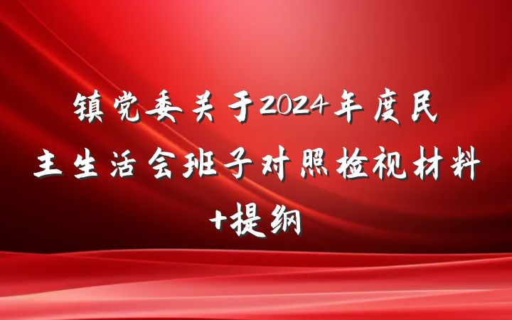 镇党委关于2024年度民主生活会班子对照检视材料 提纲