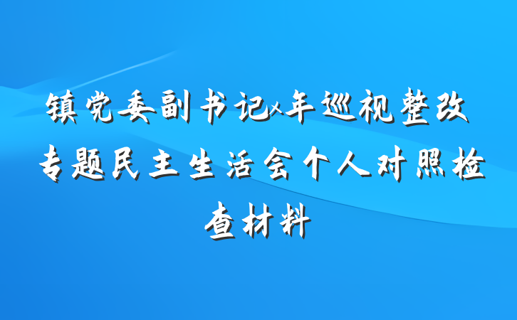 镇党委副书记x年巡视整改专题民主生活会个人对照检查材料