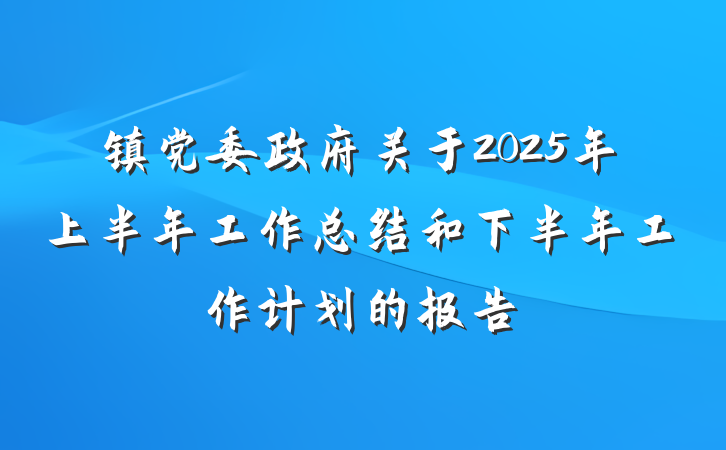 镇党委政府关于2025年上半年工作总结和下半年工作计划的报告