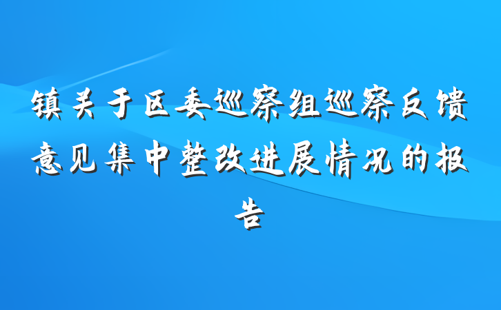 镇关于区委巡察组巡察反馈意见集中整改进展情况的报告