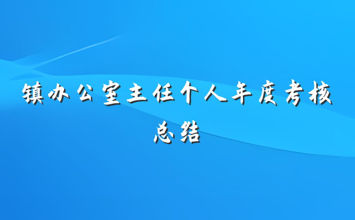 镇办公室主任个人年度考核总结